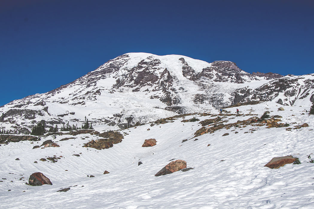 Photos: From Paradise in Mount Rainier National Park